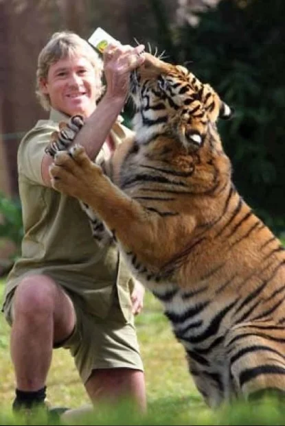 Steve Irwin Death