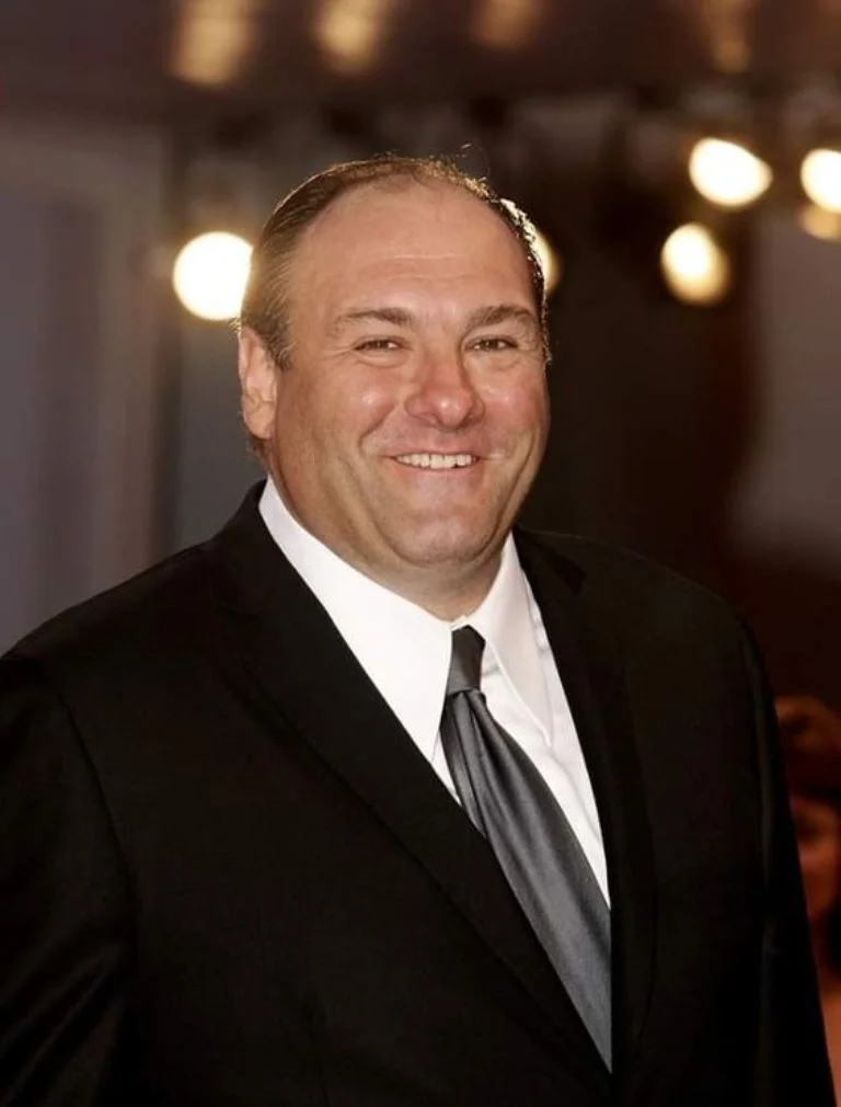 James Gandolfini Cause of Death Real Reason