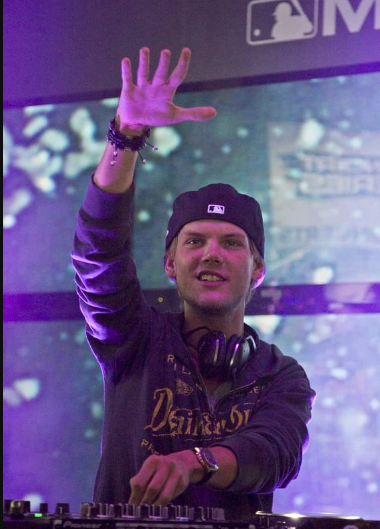 Tim Bergling Cause of Death