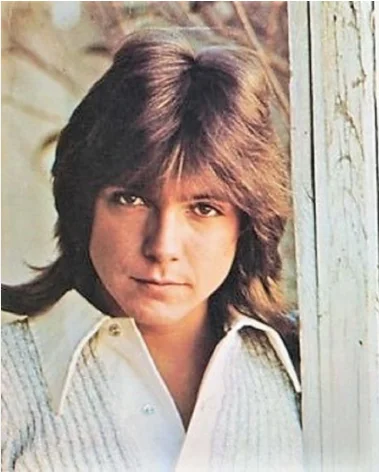 David Cassidy Cause of Death- Songs & Net Worth